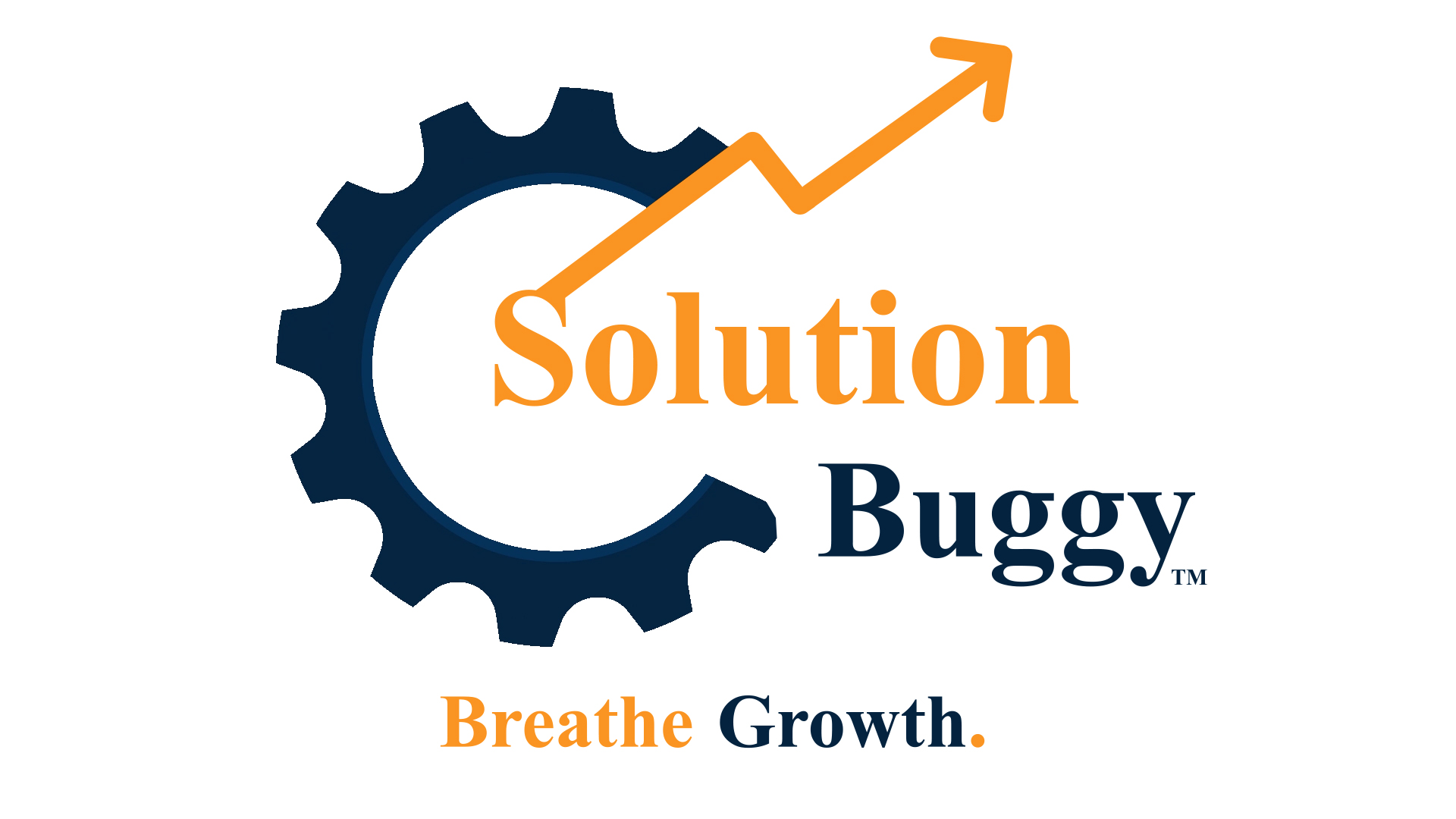 SolutionBuggy